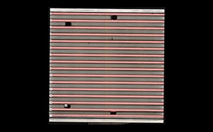 準確簡單地測量表面積的方法