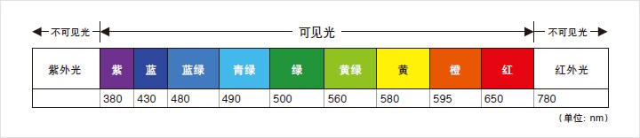 [ 不可見光 : 紫外光][ 可見光不 : 紫 380 / 藍 430 / 藍綠 480 / 青綠 490 / 綠 500 / 黃綠 560 / 黃 580 / 橙 595 / 紅 650 ][ 不可見光 : 紅外光 780 ]（單位：nm）