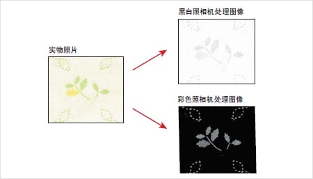 實物照片 > 黑白照相機處理圖像 / 彩色照相機處理圖像